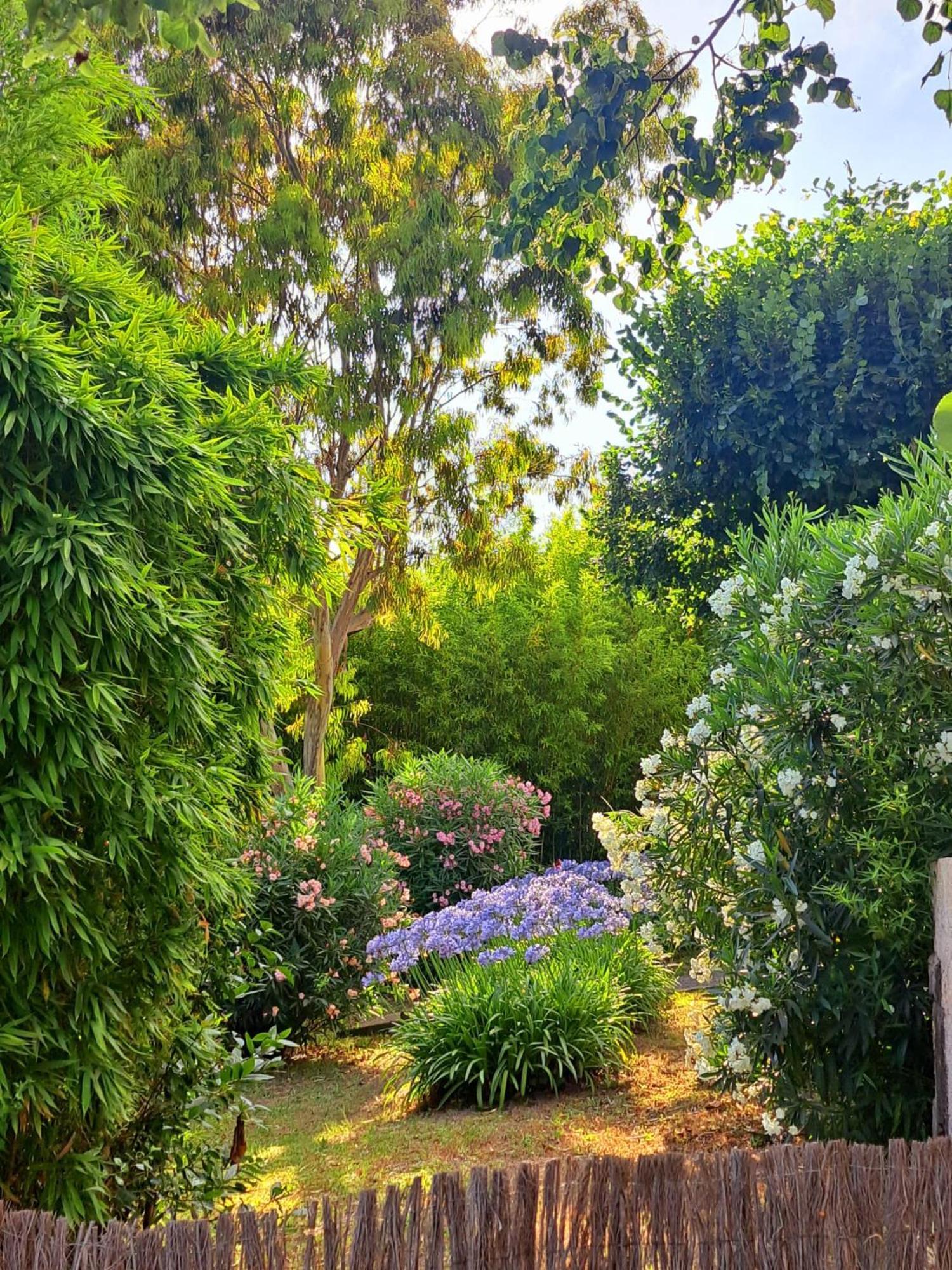 Bastide De Marie Grasse Exterior foto